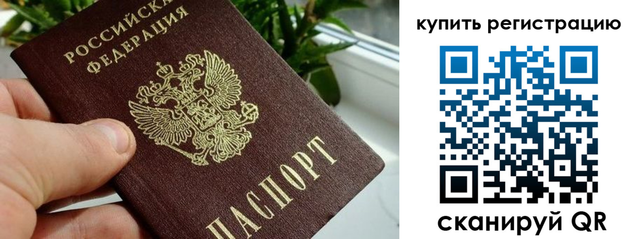 прописка гарантия в Можайске